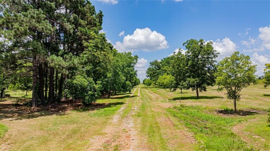 29.7 acres in Franklin (TX) County - photo 18