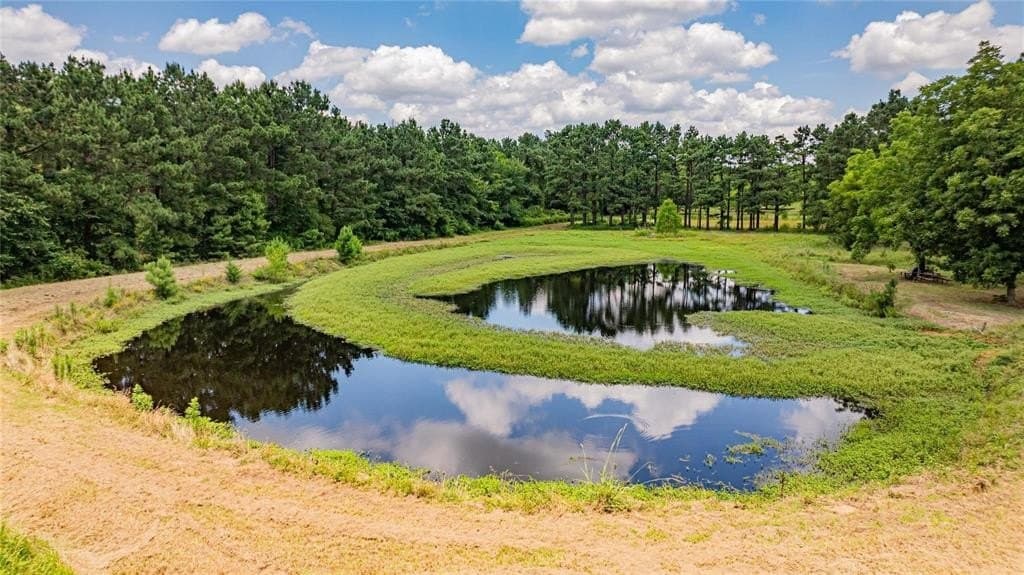 29.7 acres in Franklin (TX) County - photo 10
