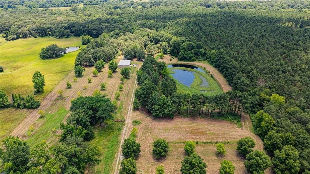 29.7 acres in Franklin (TX) County - photo 28