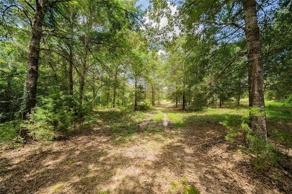 29.7 acres in Franklin (TX) County - photo 19