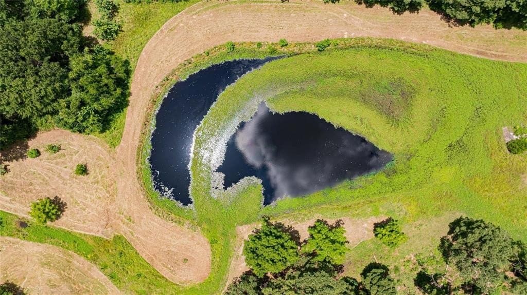 29.7 acres in Franklin (TX) County - photo 23