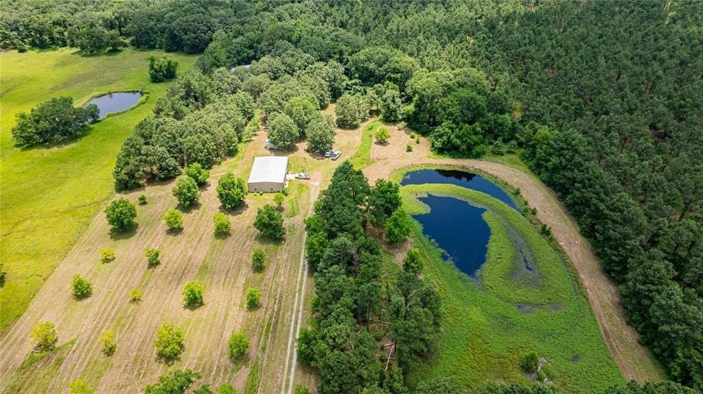 29.7 acres in Franklin (TX) County - photo 29