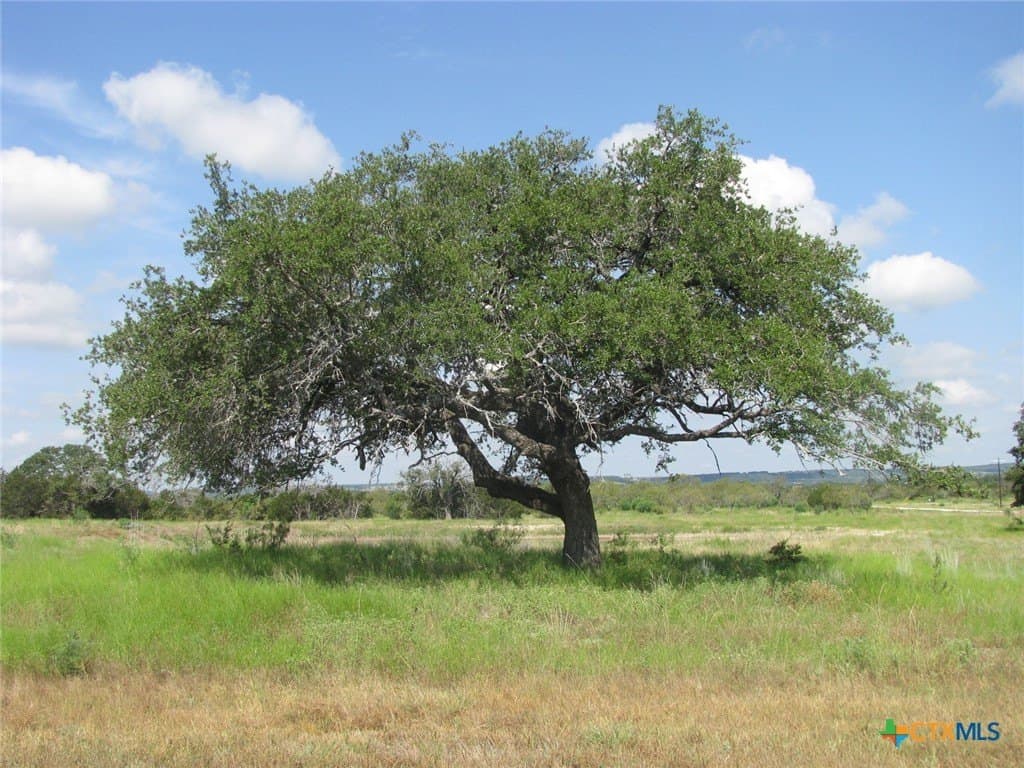 10.01 acres in Hamilton County - photo 3