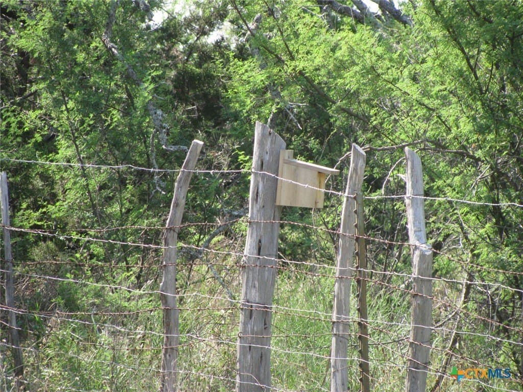 10.01 acres in Hamilton County - photo 21