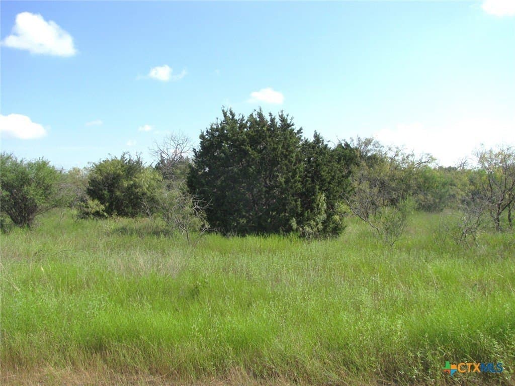 10.01 acres in Hamilton County - photo 5