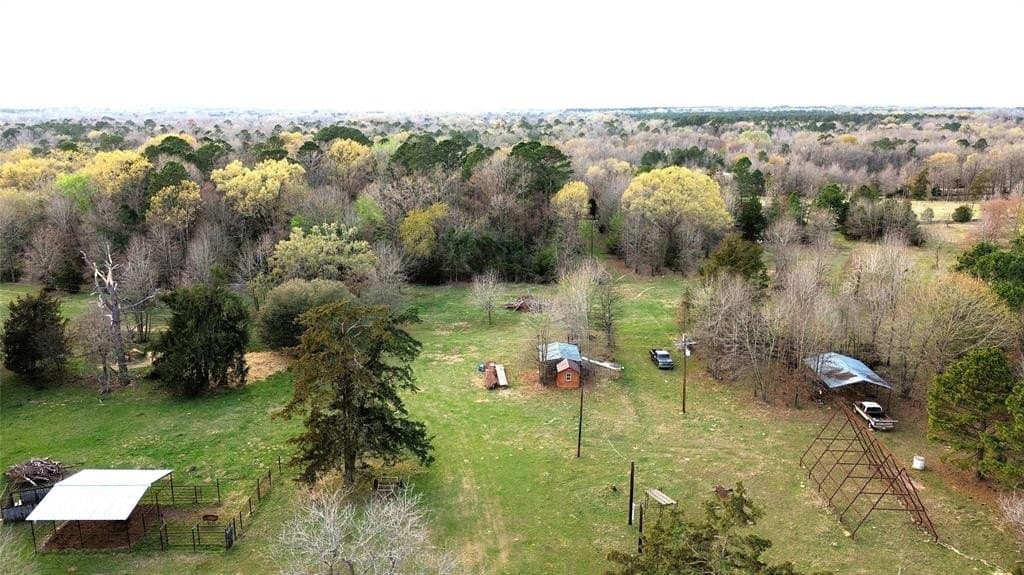 10.89 acres in Camp County - photo 5