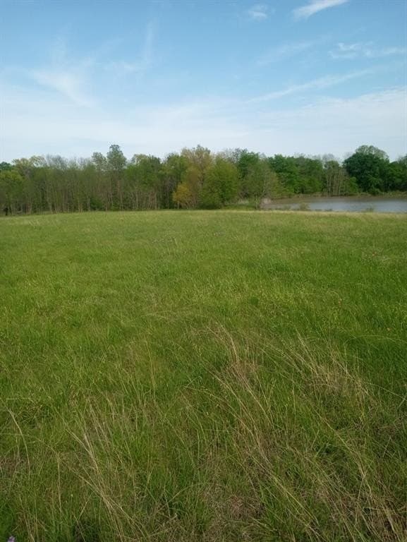 68.9 acres in Hopkins County - photo 37