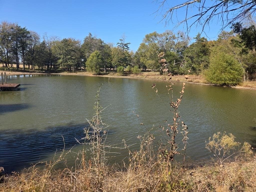 68.9 acres in Hopkins County - photo 40
