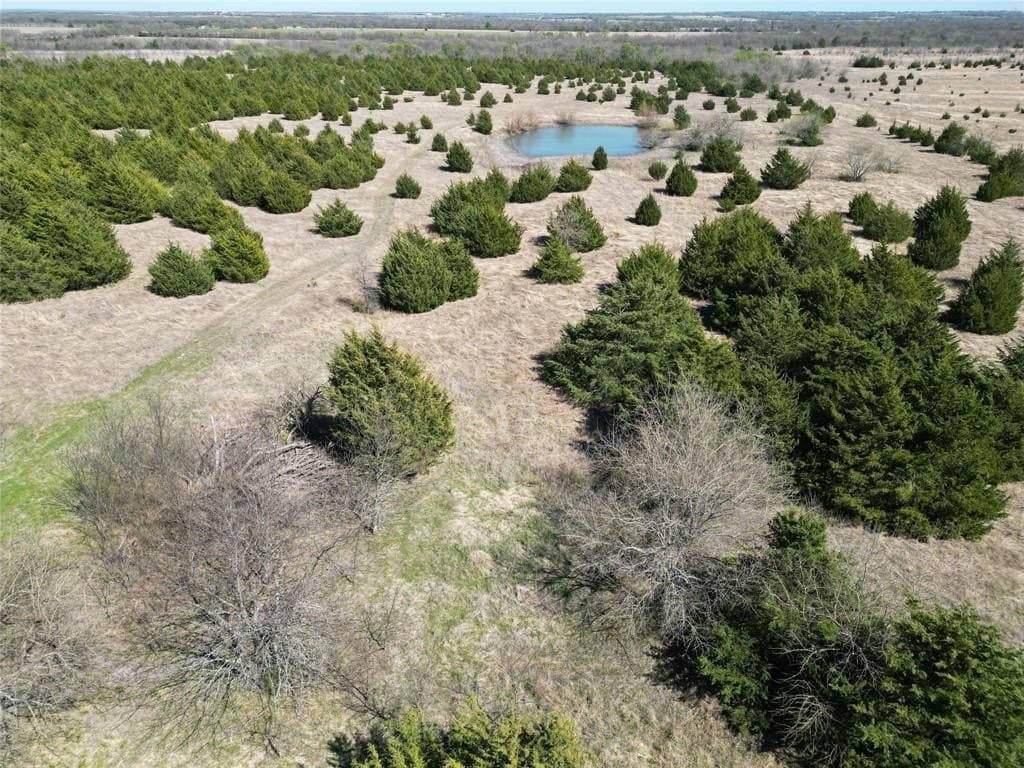 139.5 acres in Fannin County - photo 7