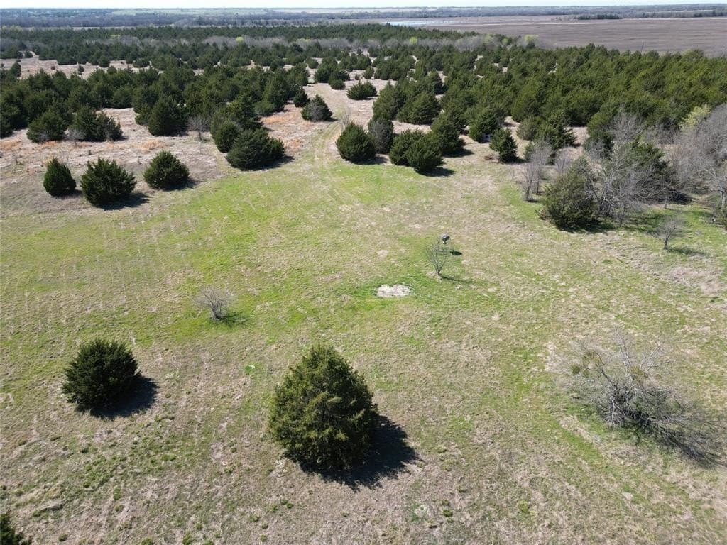 139.5 acres in Fannin County - photo 4