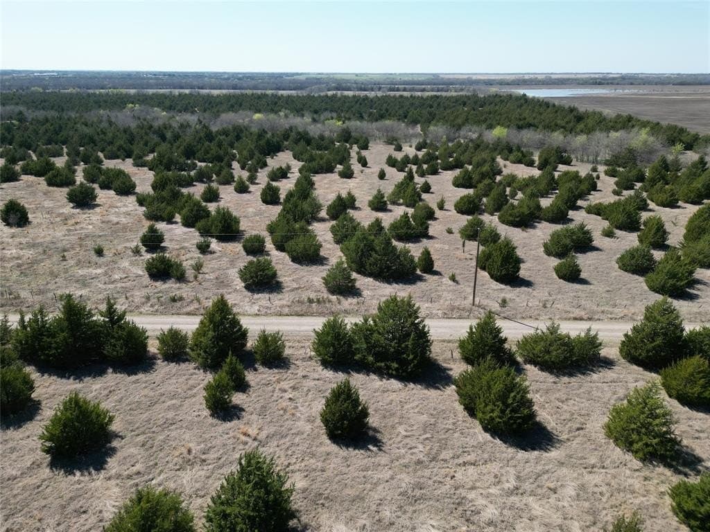 139.5 acres in Fannin County - photo 13