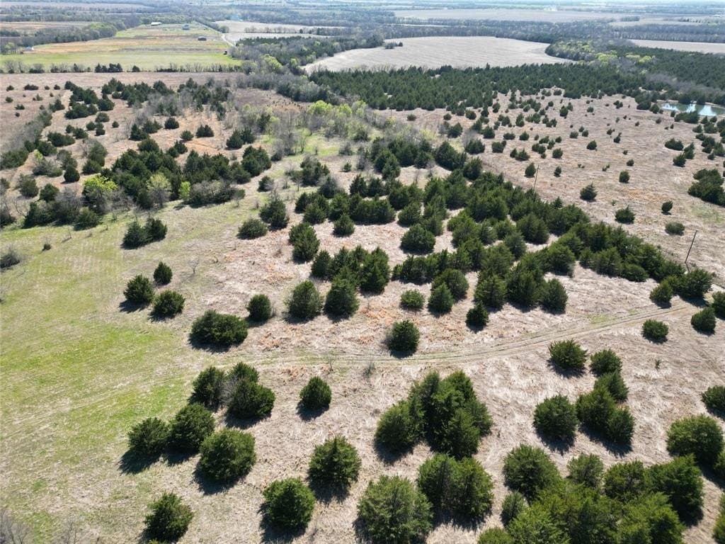 139.5 acres in Fannin County - photo 12