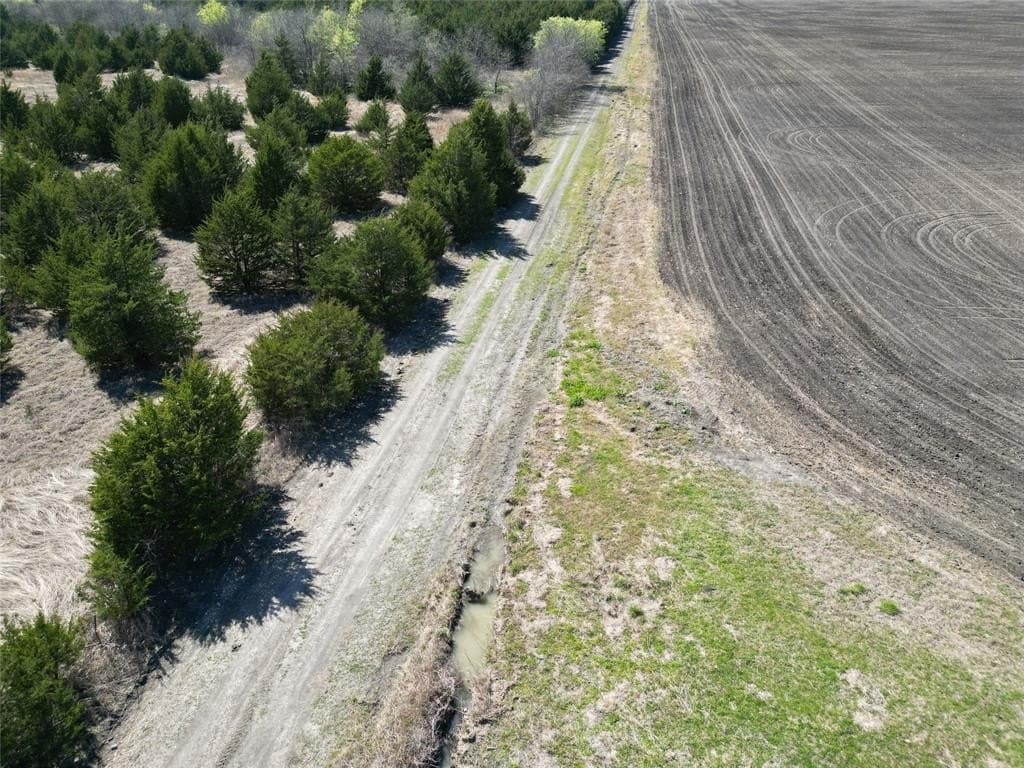 139.5 acres in Fannin County - photo 15