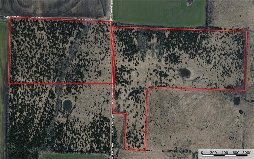139.5 acres in Fannin County - photo 2