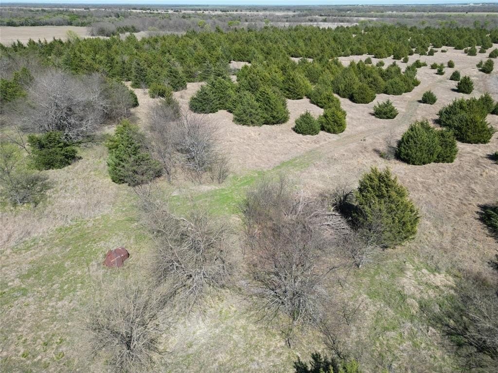 139.5 acres in Fannin County - photo 6