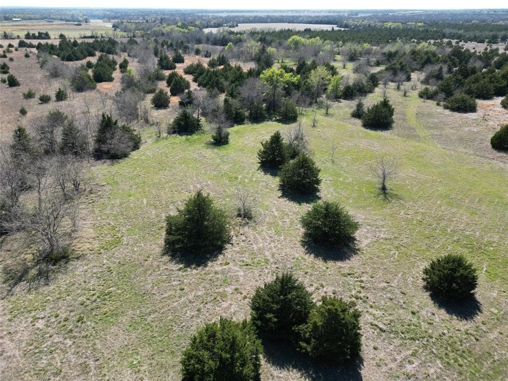 139.5 acres in Fannin County - photo 3