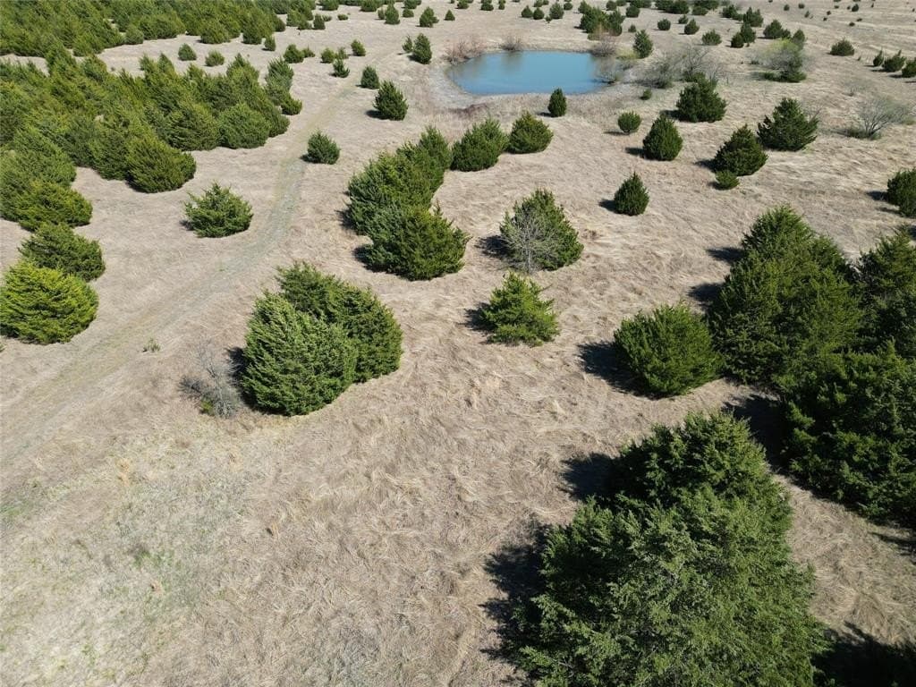139.5 acres in Fannin County - photo 8