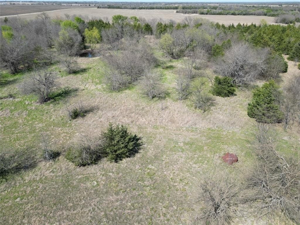 139.5 acres in Fannin County - photo 10
