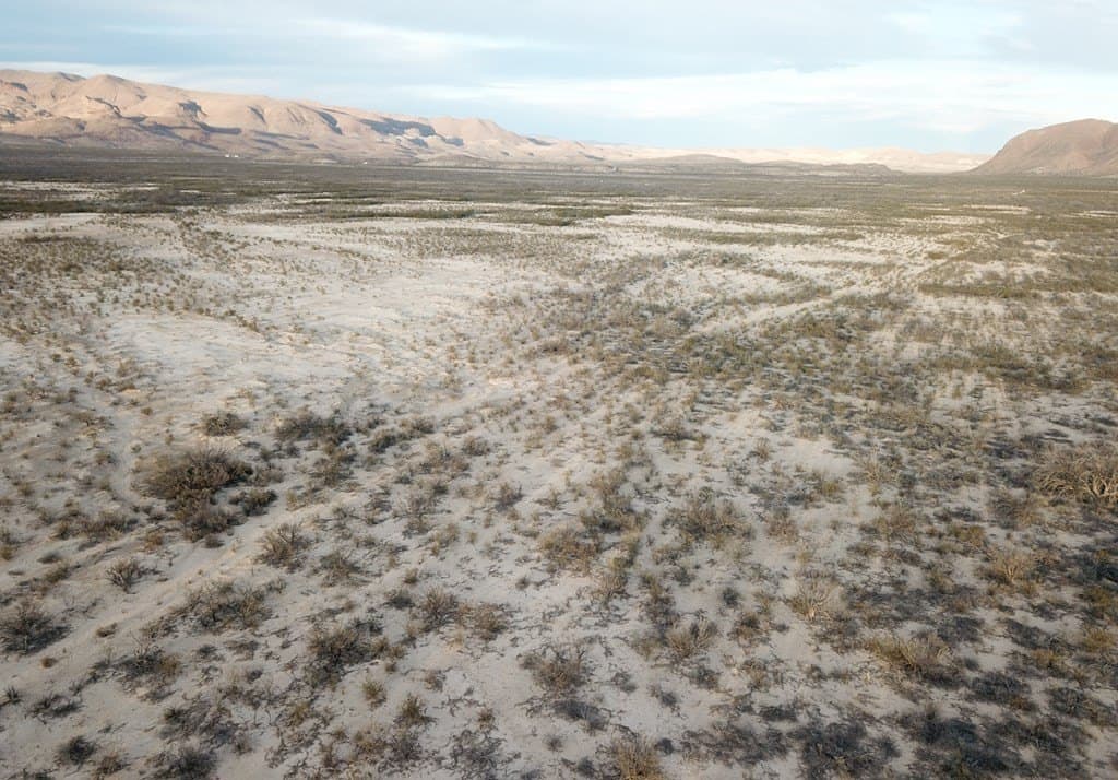 5 acres in Brewster County - photo 13