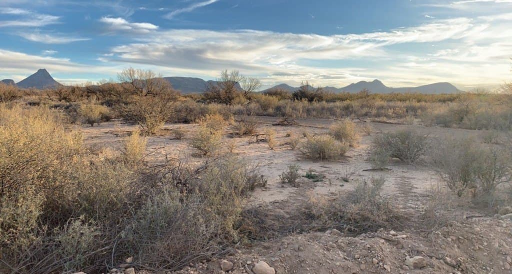 5 acres in Brewster County - photo 8