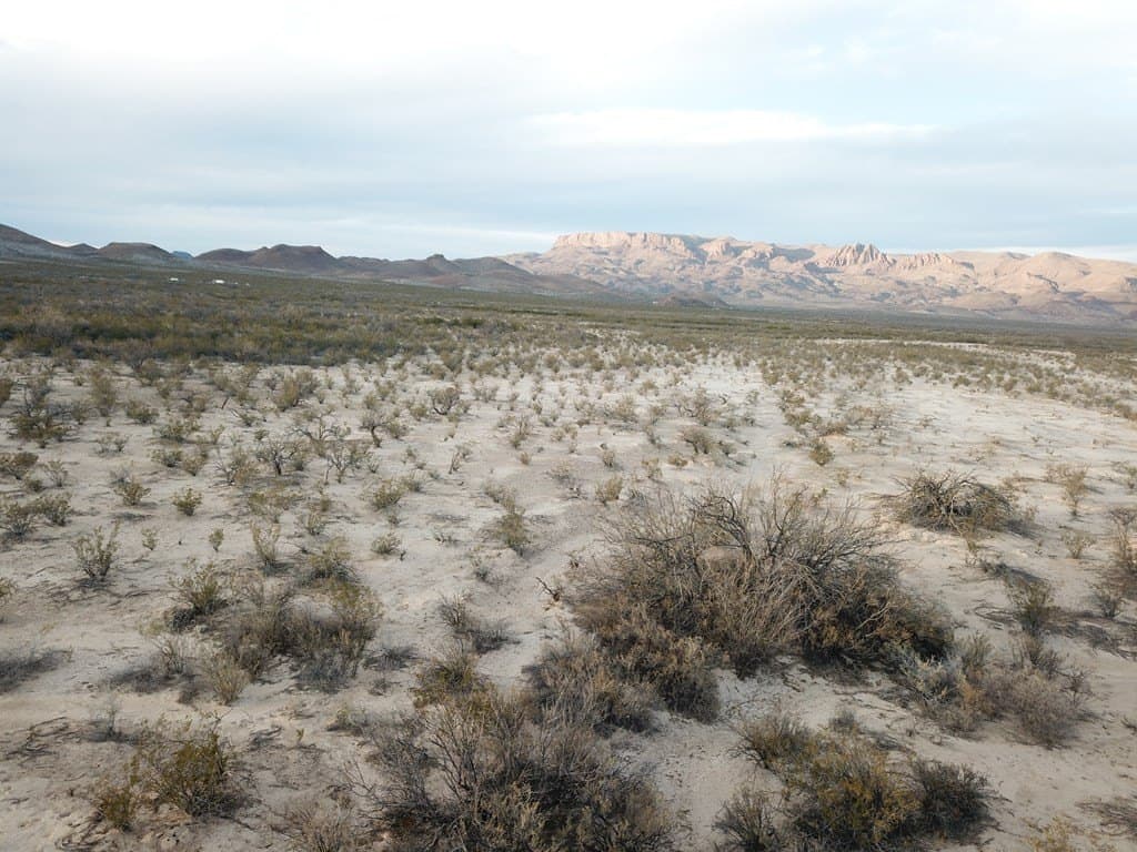 5 acres in Brewster County - photo 16