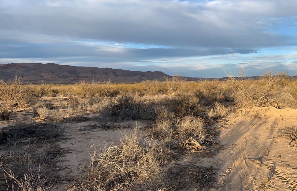 5 acres in Brewster County - photo 3