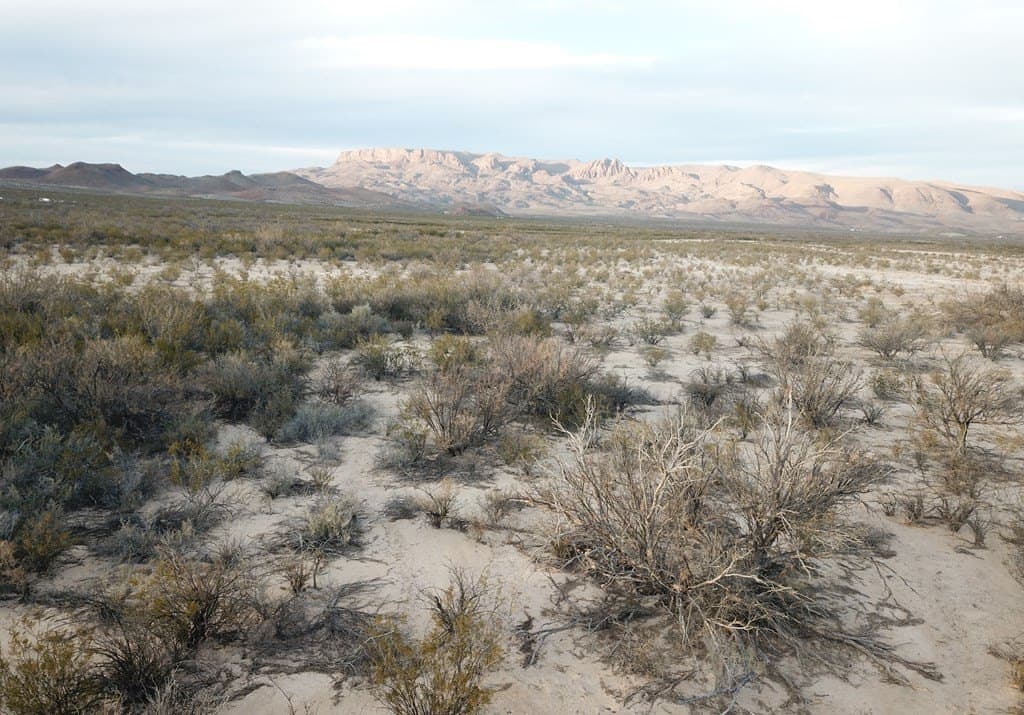 5 acres in Brewster County - photo 15