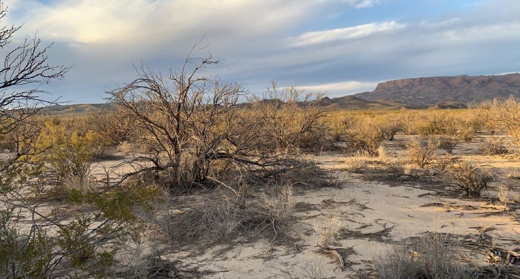 5 acres in Brewster County - photo 4