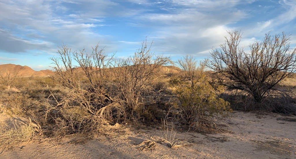 5 acres in Brewster County - photo 6