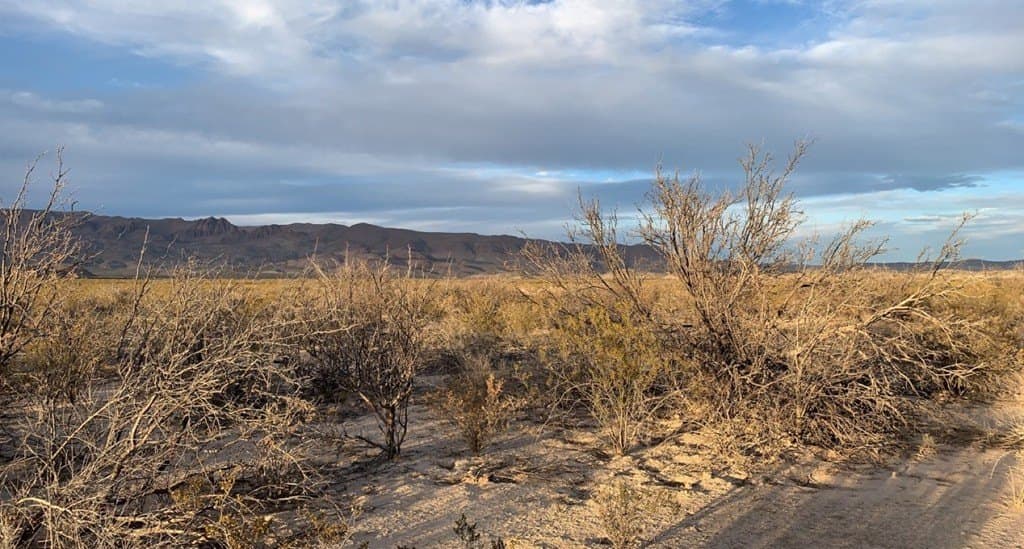 5 acres in Brewster County - photo 5