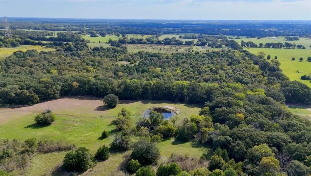 24.35 acres in Rains County - photo 24