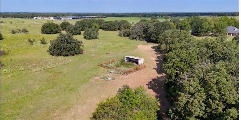 24.35 acres in Rains County - photo 23