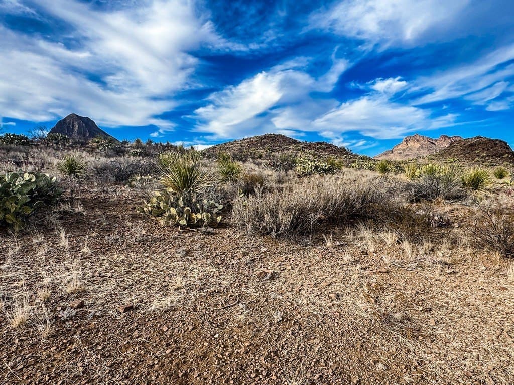 10.06 acres in Brewster County - photo 4