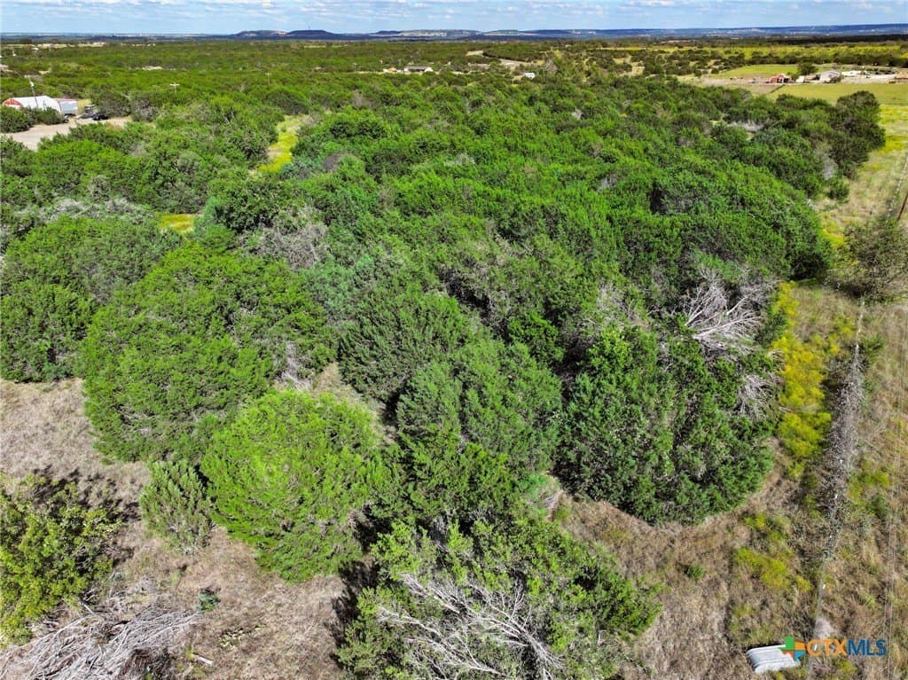 9.99 acres in Coryell County - photo 7