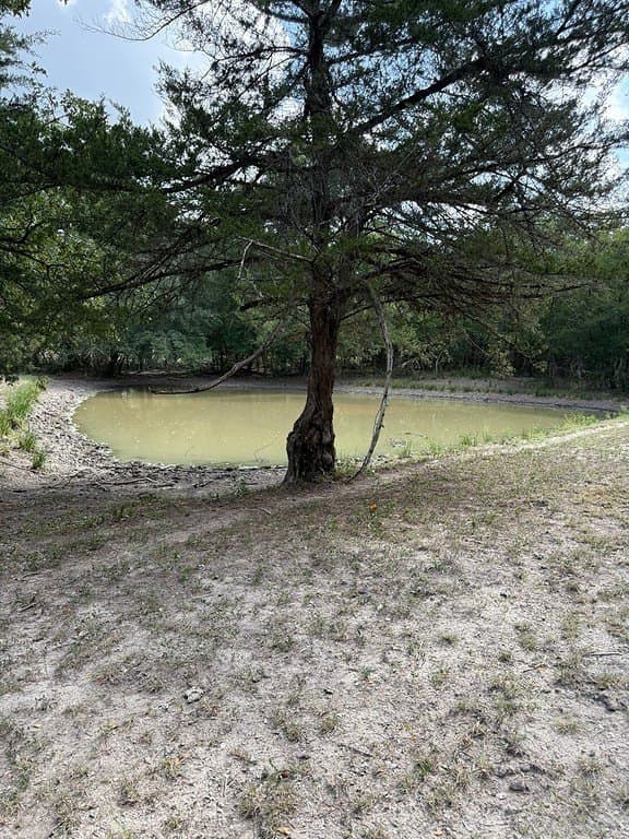 10.06 acres in Fayette County - photo 17