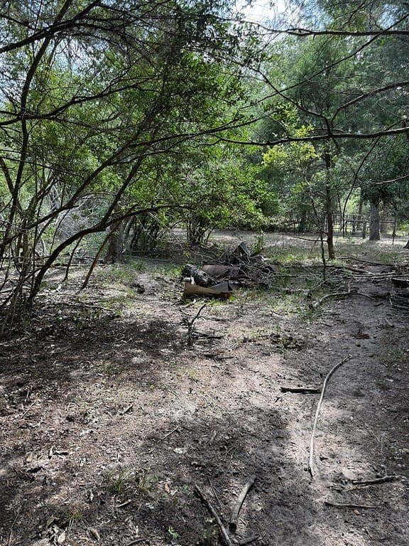 10.06 acres in Fayette County - photo 15