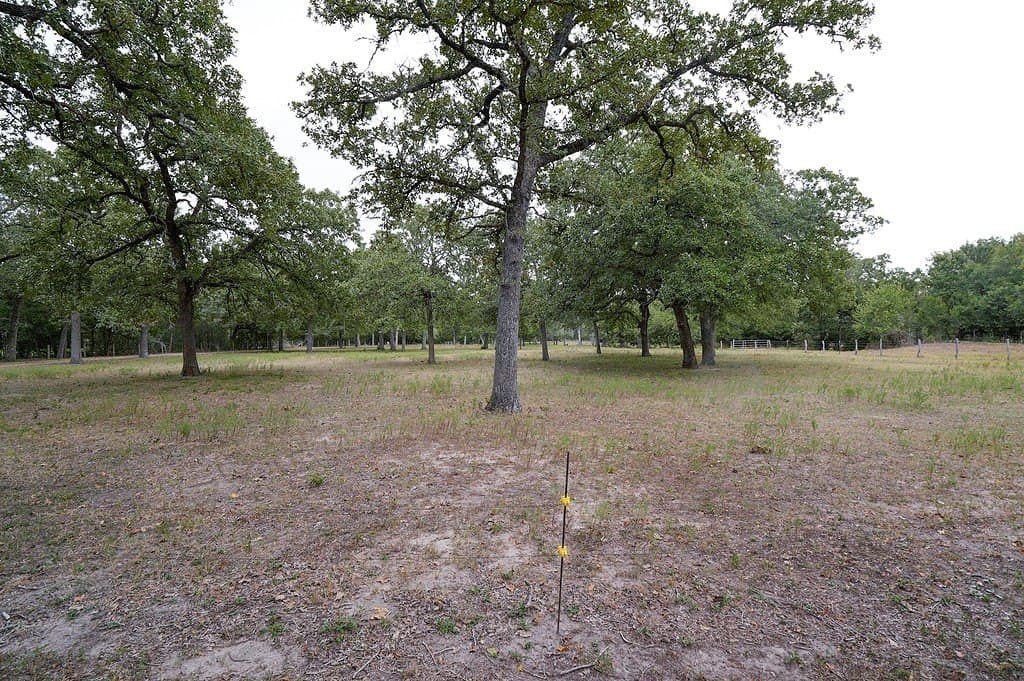 10.06 acres in Fayette County - photo 13