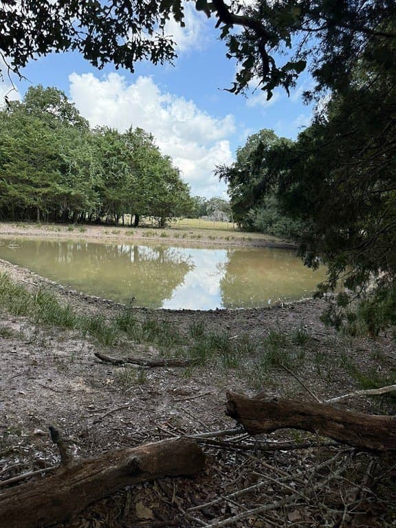 10.06 acres in Fayette County - photo 14