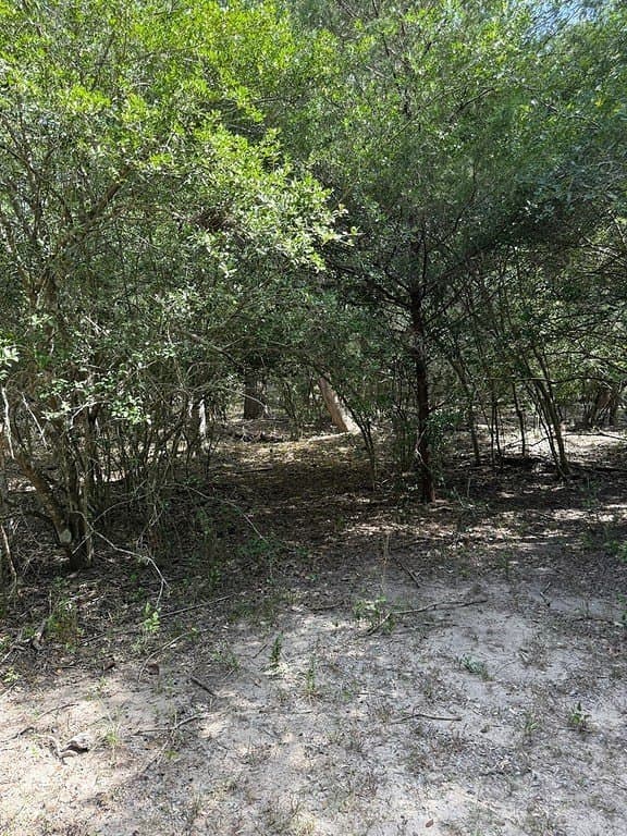 10.06 acres in Fayette County - photo 16