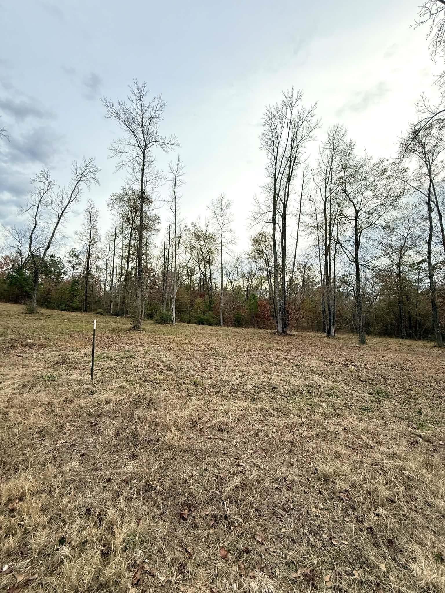 1.02 acres in Harrison County - photo 2