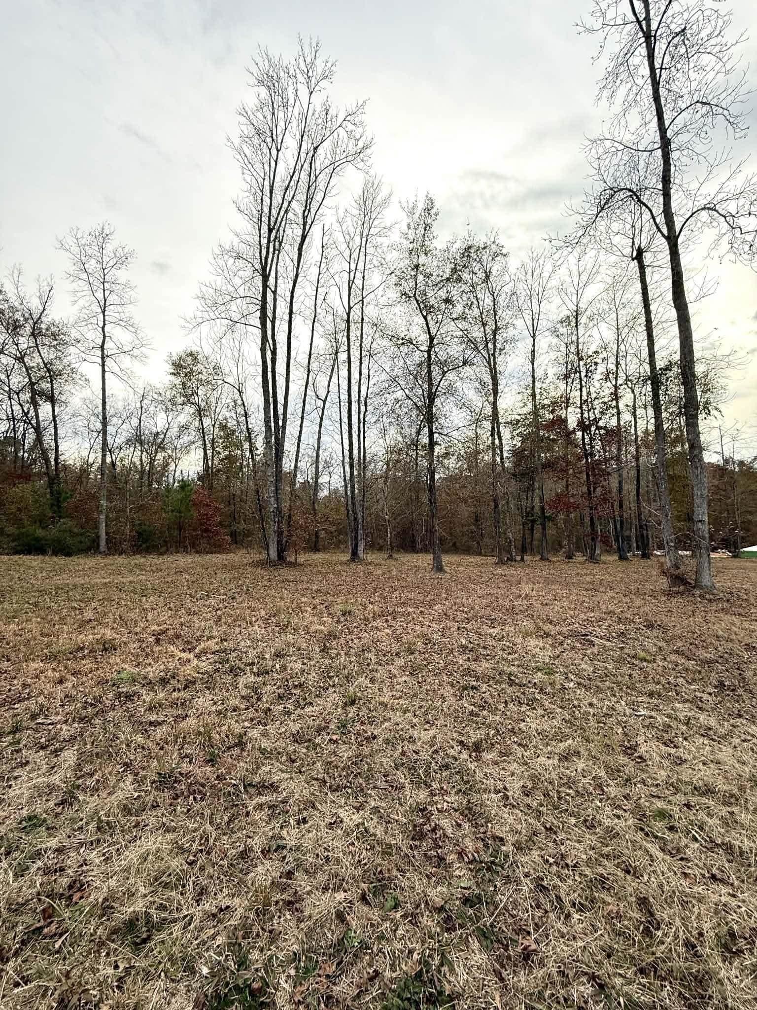1.02 acres in Harrison County - photo 3