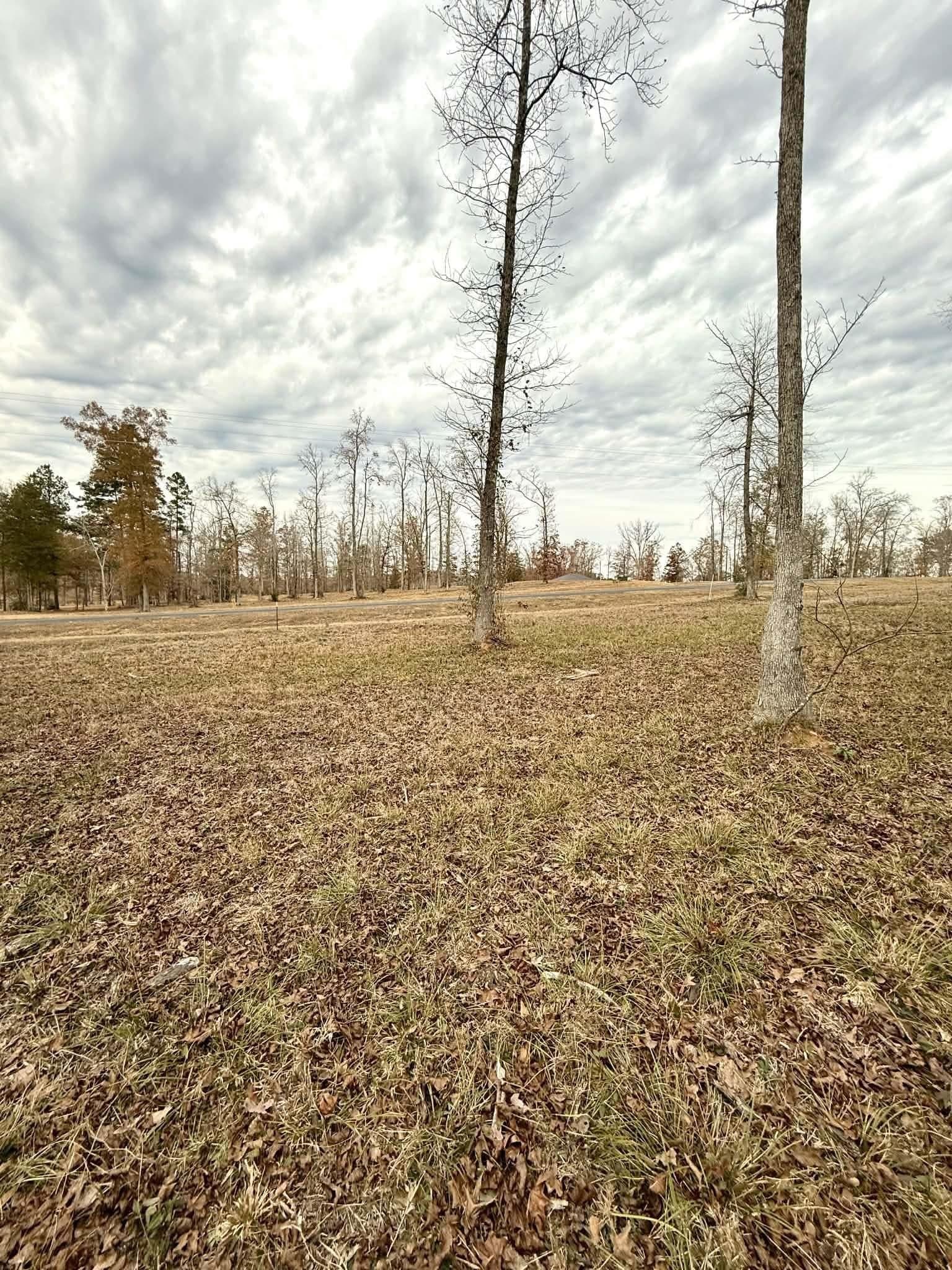 1.02 acres in Harrison County - photo 5