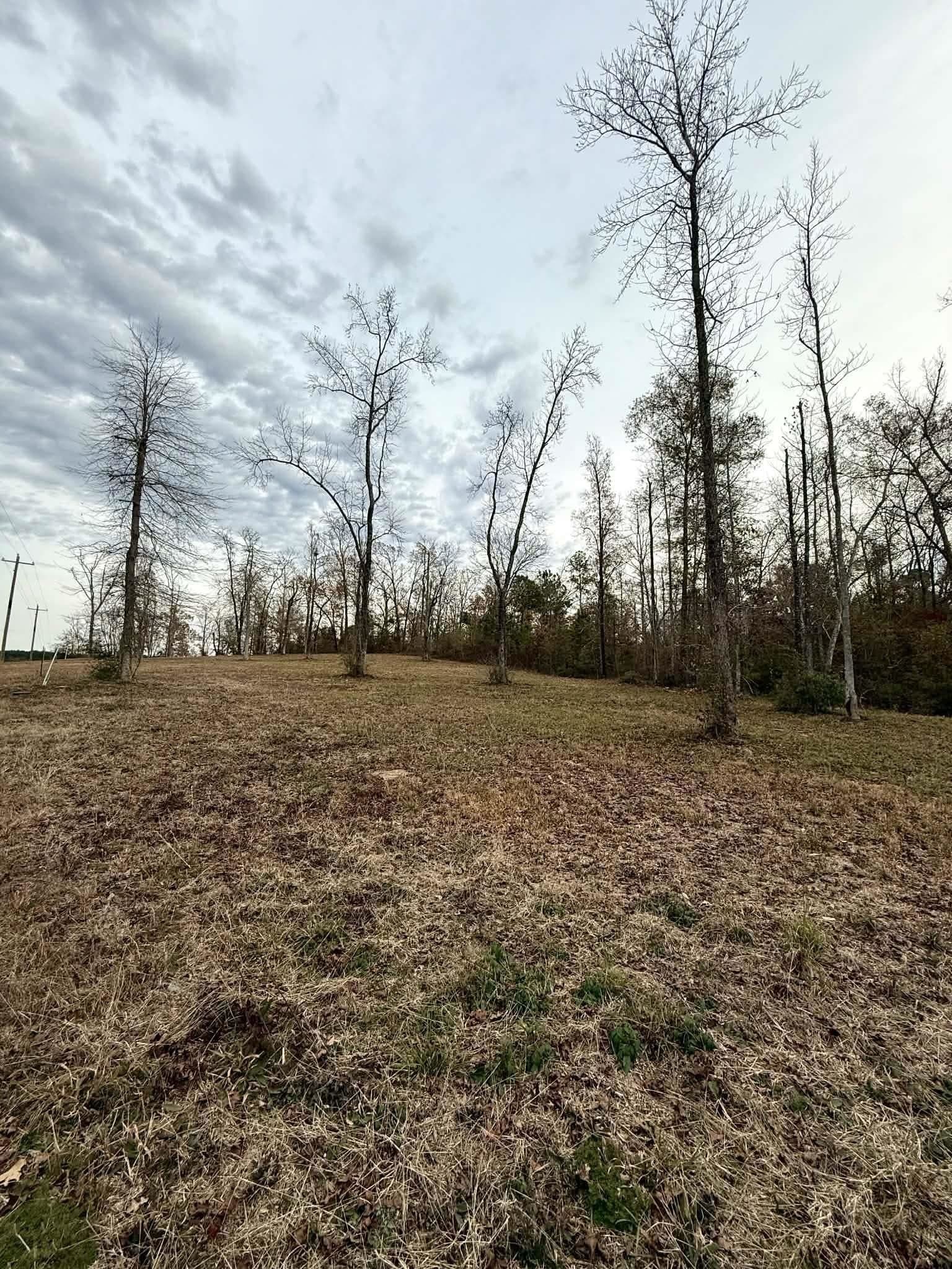 1.02 acres in Harrison County - photo 4