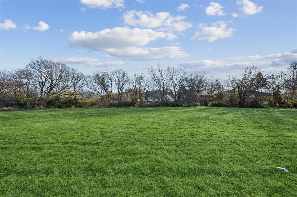0.31 acres in Dallas County - photo 2