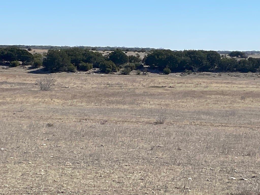 95 acres in Williamson County - photo 2