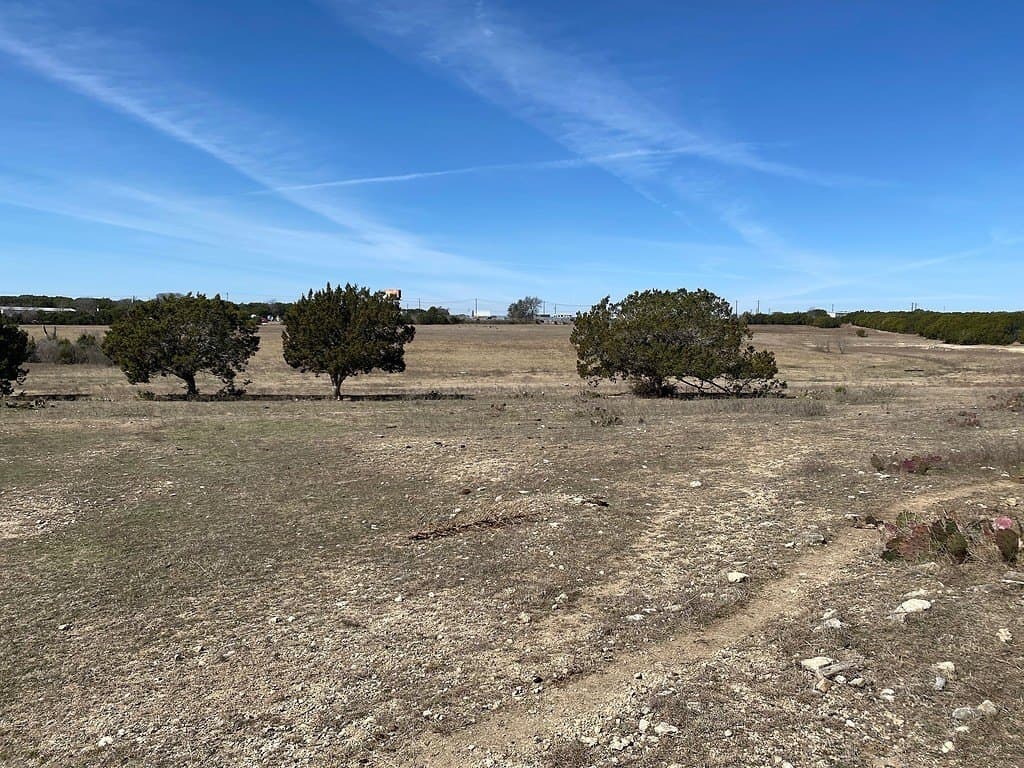 95 acres in Williamson County - photo 5