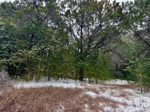 0.64 acres in Hill County - photo 6