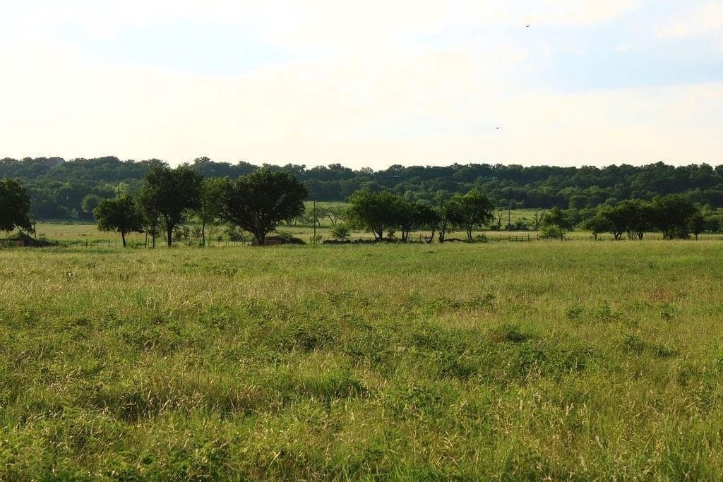 5.51 acres in Palo Pinto County - photo 9