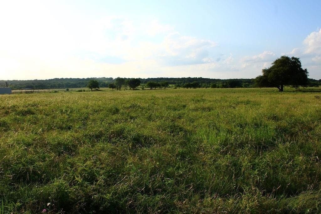5.51 acres in Palo Pinto County - photo 8