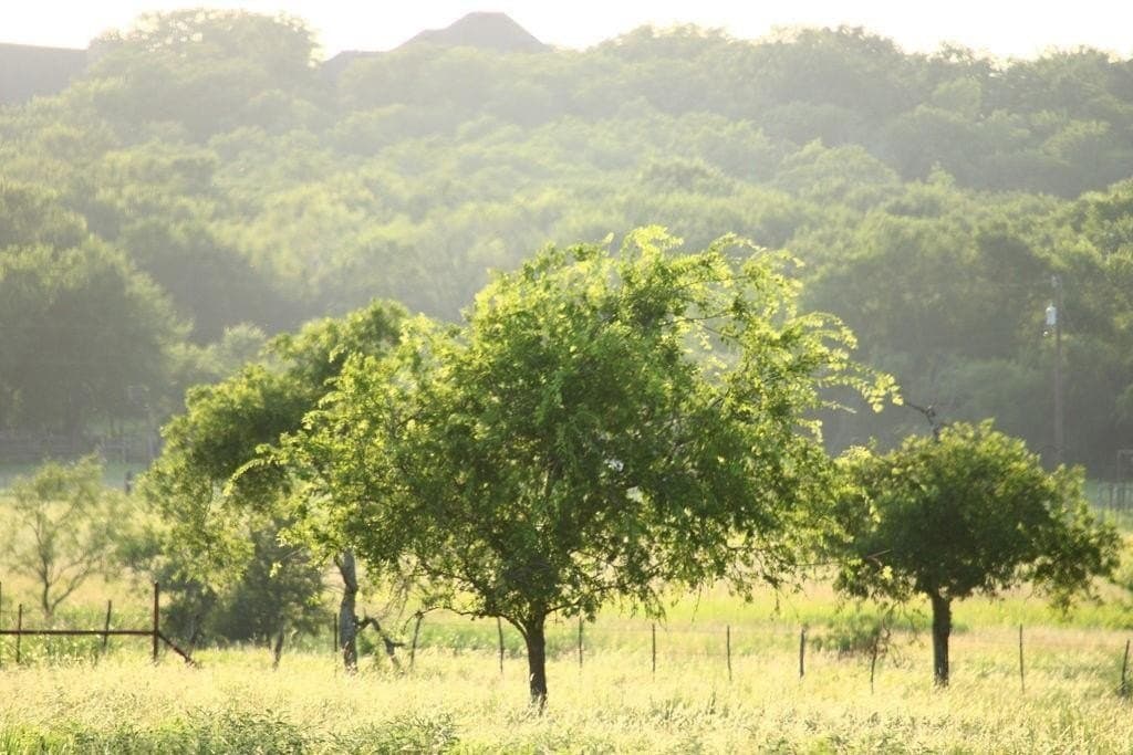 5.51 acres in Palo Pinto County - photo 2